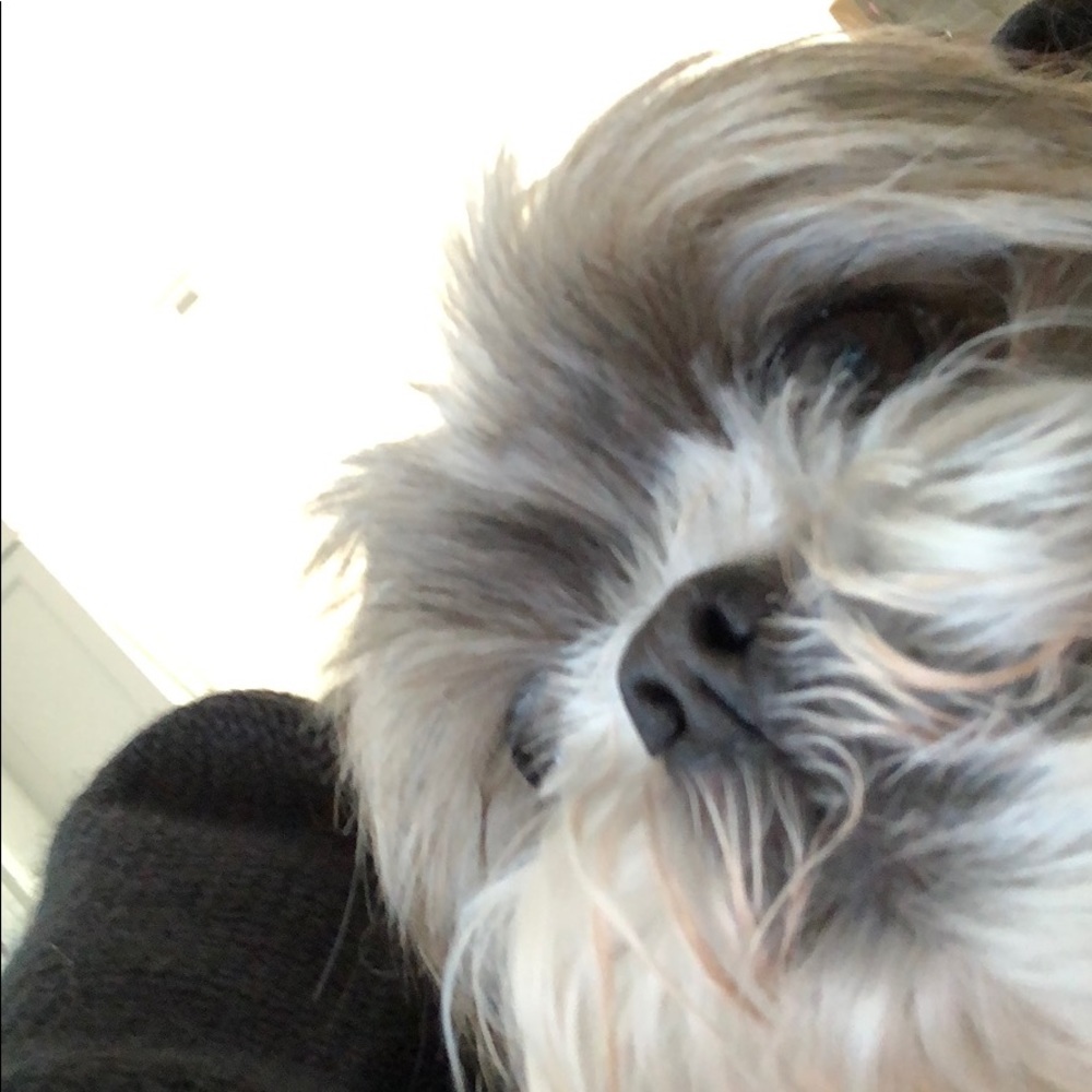 Meet your Posher, Mia